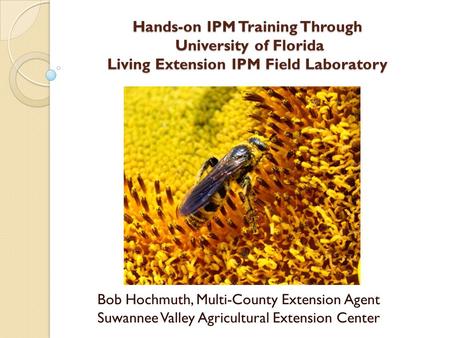 Hands-on IPM Training Through University of Florida Living Extension IPM Field Laboratory Bob Hochmuth, Multi-County Extension Agent Suwannee Valley Agricultural.