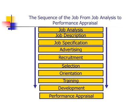 The Sequence of the Job From Job Analysis to Performance Appraisal Job Analysis Job Specification Job Description Development Performance Appraisal Training.