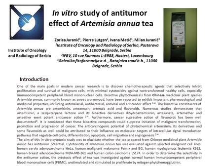 Institute of Oncology and Radiology of Serbia In vitro study of antitumor effect of Artemisia annua tea Zorica Juranić 1, Pierre Lutgen 2, Ivana Matić.