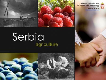 Serbia agriculture Ministry of Agriculture, Trade, Forestry and Water Management of the Republic of Serbia