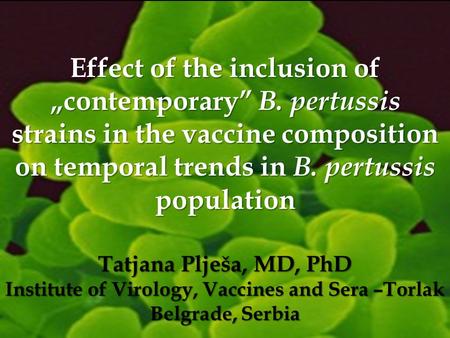 Effect of the inclusion of „contemporary” B. pertussis strains in the vaccine composition on temporal trends in B. pertussis population Tatjana Plješa,