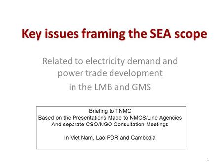 1 Key issues framing the SEA scope Related to electricity demand and power trade development in the LMB and GMS Briefing to TNMC Based on the Presentations.