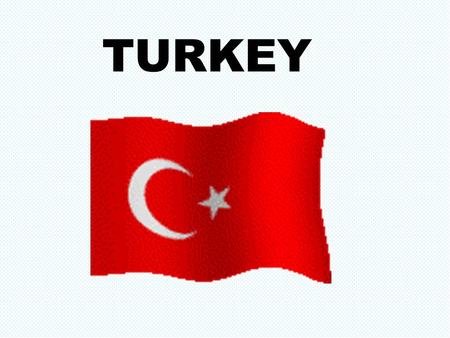 TURKEY. Area : 783,562 km² Population :70,586,256 Population :70,586,256 Capital : Ankara Official language: Turkish Type of government : Parliamentary.