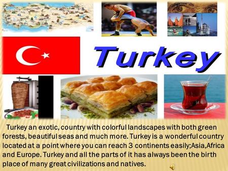 Turkey an exotic, country with colorful landscapes with both green forests, beautiful seas and much more. Turkey is a wonderful country located at a point.