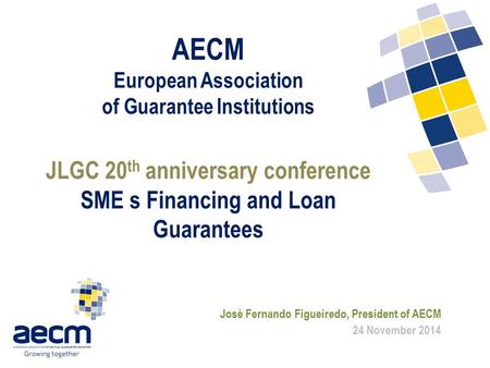 AECM European Association of Guarantee Institutions JLGC 20 th anniversary conference SME s Financing and Loan Guarantees José Fernando Figueiredo, President.