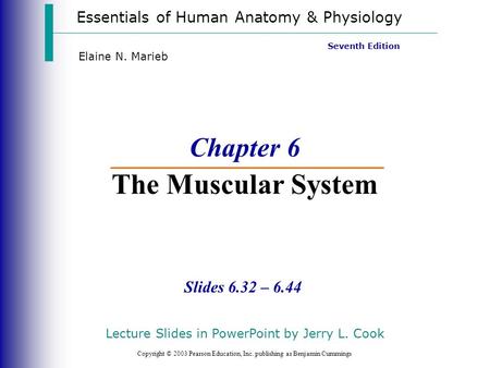 Chapter 6 The Muscular System