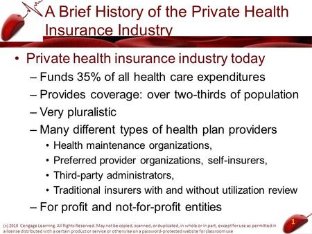 A Brief History of the Private Health Insurance Industry Private health insurance industry today –Funds 35% of all health care expenditures –Provides coverage: