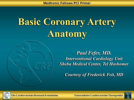 Sternocostal Aspect Basic Coronary Artery Anatomy