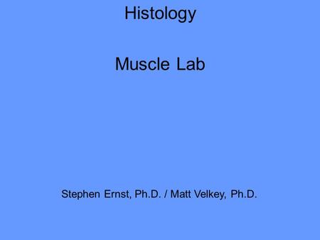 Histology Muscle Lab Stephen Ernst, Ph.D. / Matt Velkey, Ph.D.