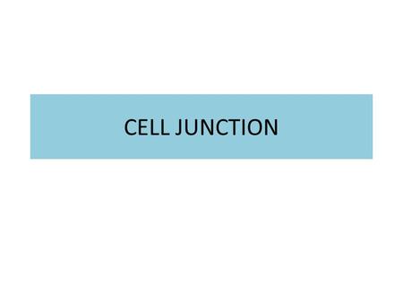 CELL JUNCTION.