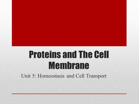 Proteins and The Cell Membrane Unit 5: Homeostasis and Cell Transport.