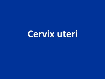 Cervix uteri.