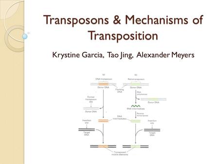 Transposons & Mechanisms of Transposition