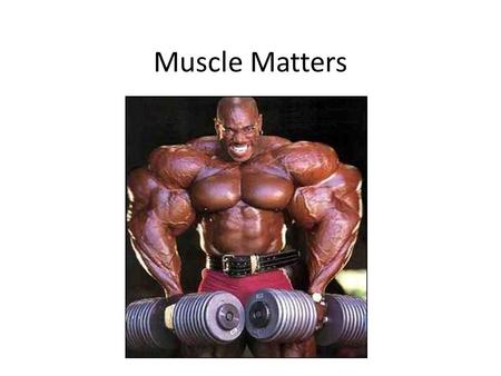 Muscle Matters.