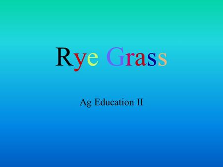 Rye Grass Ag Education II Rye Grass What do you know about rye grass? How many kinds of rye grass are there? Where is it grown? Why is rye grass important?