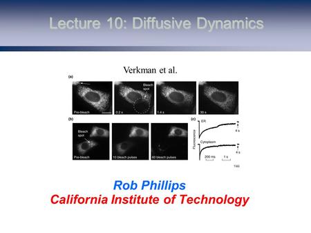 Lecture 10: Diffusive Dynamics Rob Phillips California Institute of Technology Verkman et al.