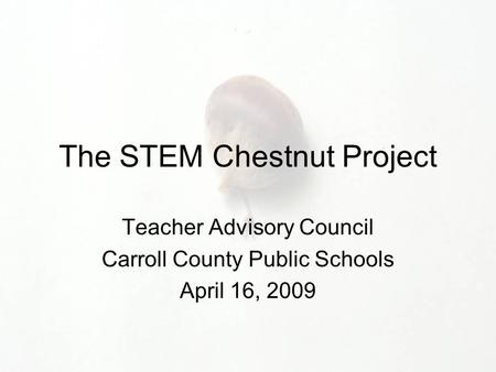 The STEM Chestnut Project Teacher Advisory Council Carroll County Public Schools April 16, 2009.