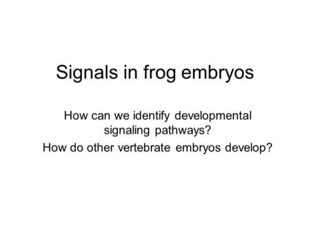 Signals in frog embryos How can we identify developmental signaling pathways? How do other vertebrate embryos develop?