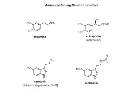 Serotonin (5-hydroxytryptamine, 5-HT) melatonin dopamine epinephrine (adrenaline) Amine-containing Neurotransmitters.