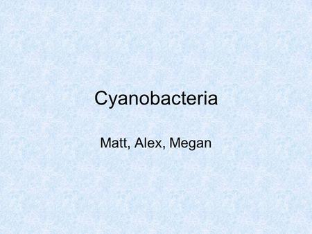 Cyanobacteria Matt, Alex, Megan. Characteristics Photosynthetic autotrophs Get their name from the blue pigment phycocyanin which they use to capture.