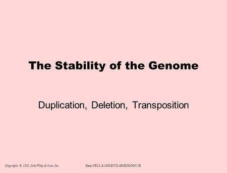 Copyright, ©, 2002, John Wiley & Sons, Inc.,Karp/CELL & MOLECULAR BIOLOGY 3E The Stability of the Genome Duplication, Deletion, Transposition.