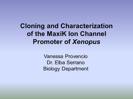 Cloning and Characterization of the MaxiK Ion Channel Promoter of Xenopus Vanessa Provencio Dr. Elba Serrano Biology Department.