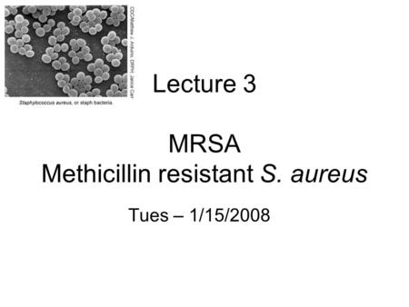 Lecture 3 MRSA Methicillin resistant S. aureus