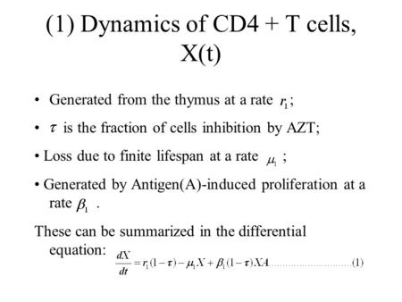 (1) Dynamics of CD4 + T cells, X(t) Generated from the thymus at a rate ; is the fraction of cells inhibition by AZT; Loss due to finite lifespan at a.