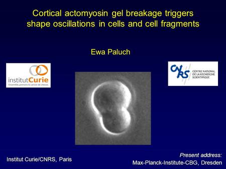 Ewa Paluch Institut Curie/CNRS, Paris Cortical actomyosin gel breakage triggers shape oscillations in cells and cell fragments Present address: Max-Planck-Institute-CBG,