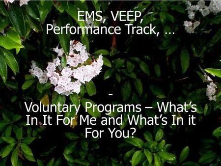 EMS, VEEP, Performance Track, … - Voluntary Programs – What’s In It For Me and What’s In it For You?