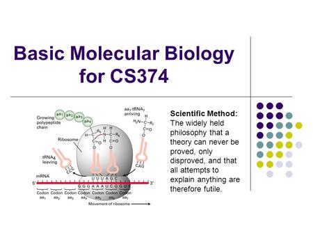 Basic Molecular Biology for CS374 Scientific Method: The widely held philosophy that a theory can never be proved, only disproved, and that all attempts.