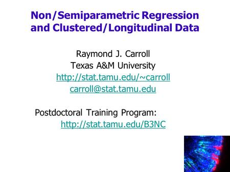 Raymond J. Carroll Texas A&M University  Postdoctoral Training Program:  Non/Semiparametric.