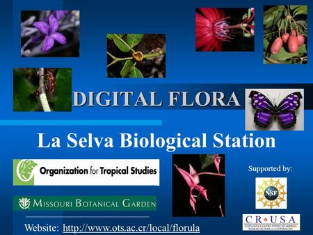 DIGITAL FLORA La Selva Biological Station Website:  Supported by: