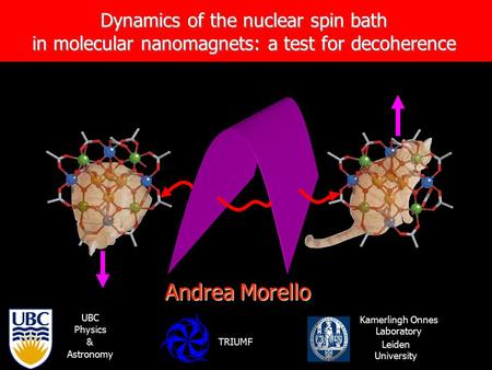 Dynamics of the nuclear spin bath in molecular nanomagnets: a test for decoherence Andrea Morello Kamerlingh Onnes Laboratory Leiden University UBC Physics.