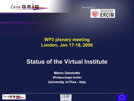 WP3 plenary meeting London, Jan 17-18, 2006 Status of the Virtual Institute Marco Danelutto Workpackage leader University of Pisa - Italy.
