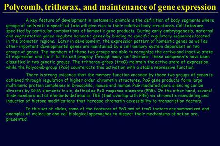 Polycomb, trithorax, and maintenance of gene expression