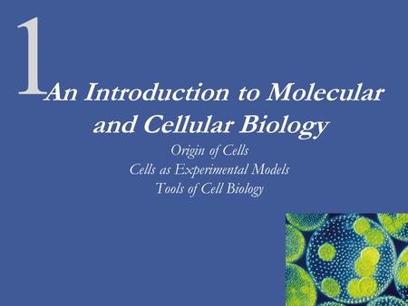 1 An Introduction to Molecular and Cellular Biology Origin of Cells Cells as Experimental Models Tools of Cell Biology.