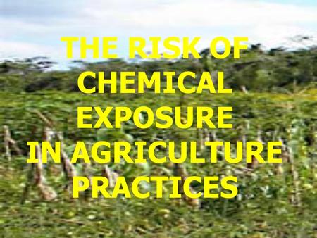 THE RISK OF CHEMICAL EXPOSURE IN AGRICULTURE PRACTICES.