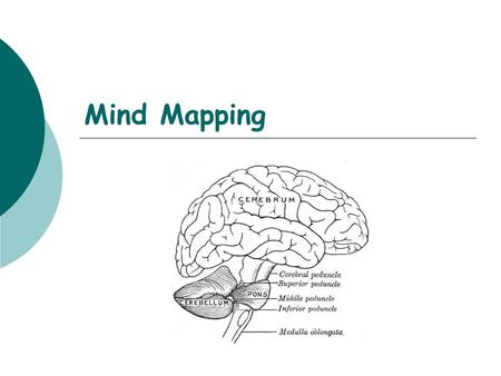 Mind Mapping.  Who?  Uses  Characteristics and how to…