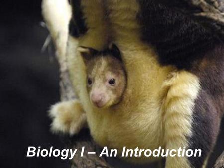 Biology: The Study of Life Biology I – An Introduction.