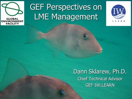 1 June 20151 June 20151 June 2015 GEF Perspectives on LME Management Dann Sklarew, Ph.D. Chief Technical Advisor GEF IW:LEARN.