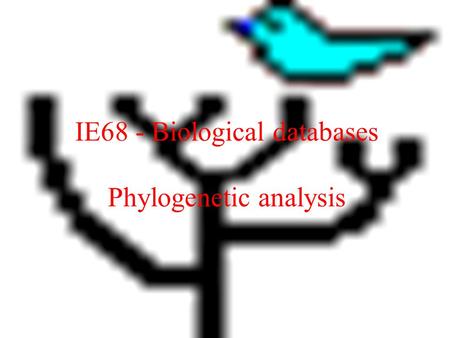 IE68 - Biological databases Phylogenetic analysis