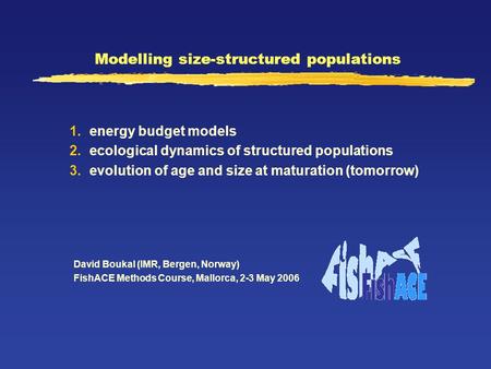 Modelling size-structured populations David Boukal (IMR, Bergen, Norway) FishACE Methods Course, Mallorca, 2-3 May 2006 1. energy budget models 2. ecological.