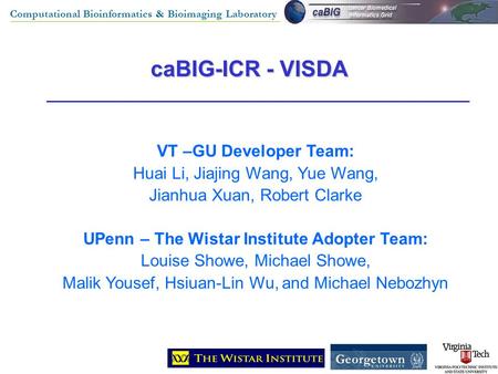 Computational Bioinformatics & Bioimaging Laboratory caBIG-ICR - VISDA VT –GU Developer Team: Huai Li, Jiajing Wang, Yue Wang, Jianhua Xuan, Robert Clarke.