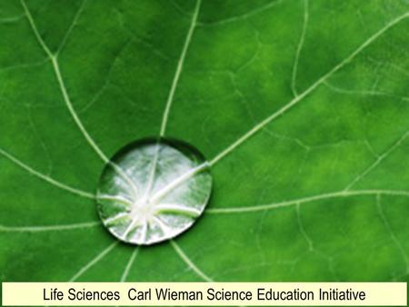 Life Sciences Carl Wieman Science Education Initiative.