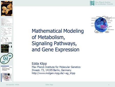 Mathematical Modeling of Metabolism, Signaling Pathways,