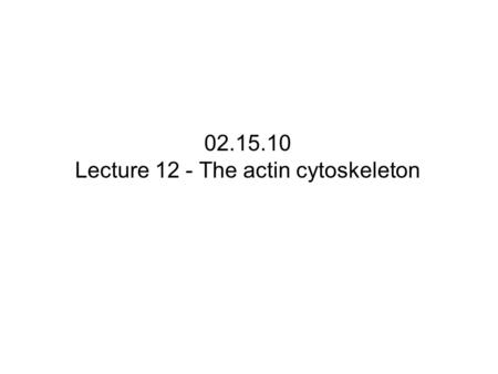 Lecture 12 - The actin cytoskeleton