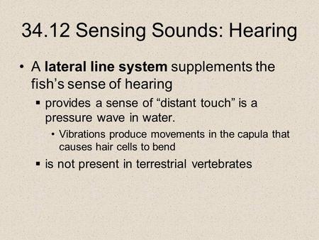 34.12 Sensing Sounds: Hearing A lateral line system supplements the fish’s sense of hearing  provides a sense of “distant touch” is a pressure wave in.