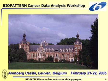 BIOPATTERN cancer data analysis workshop program 1 BIOPATTERN Cancer Data Analysis Workshop Arenberg Castle, Leuven, Belgium February 21-22, 2005.