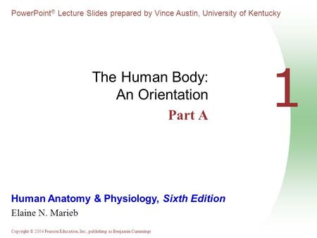 The Human Body: An Orientation Part A
